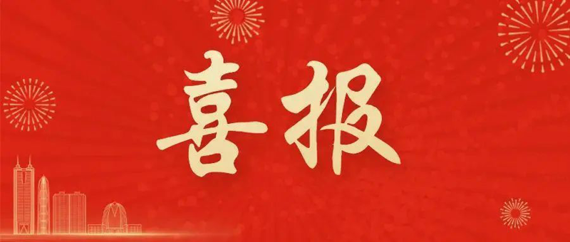 【喜報】靖西市婦幼保健院在全區(qū)二級及以下婦幼保健機構(gòu)績效考核中喜獲優(yōu)秀等次！